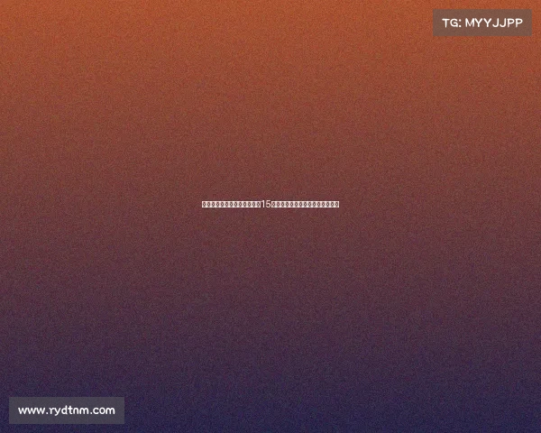 第十五届国际女子排球锦标赛15日赛事激情开战各国精英争霸赛场