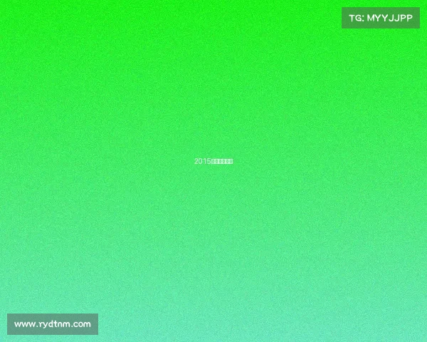 2015年足球国家队